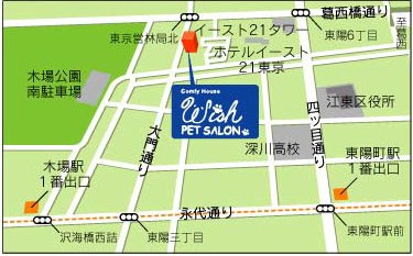 周辺地図